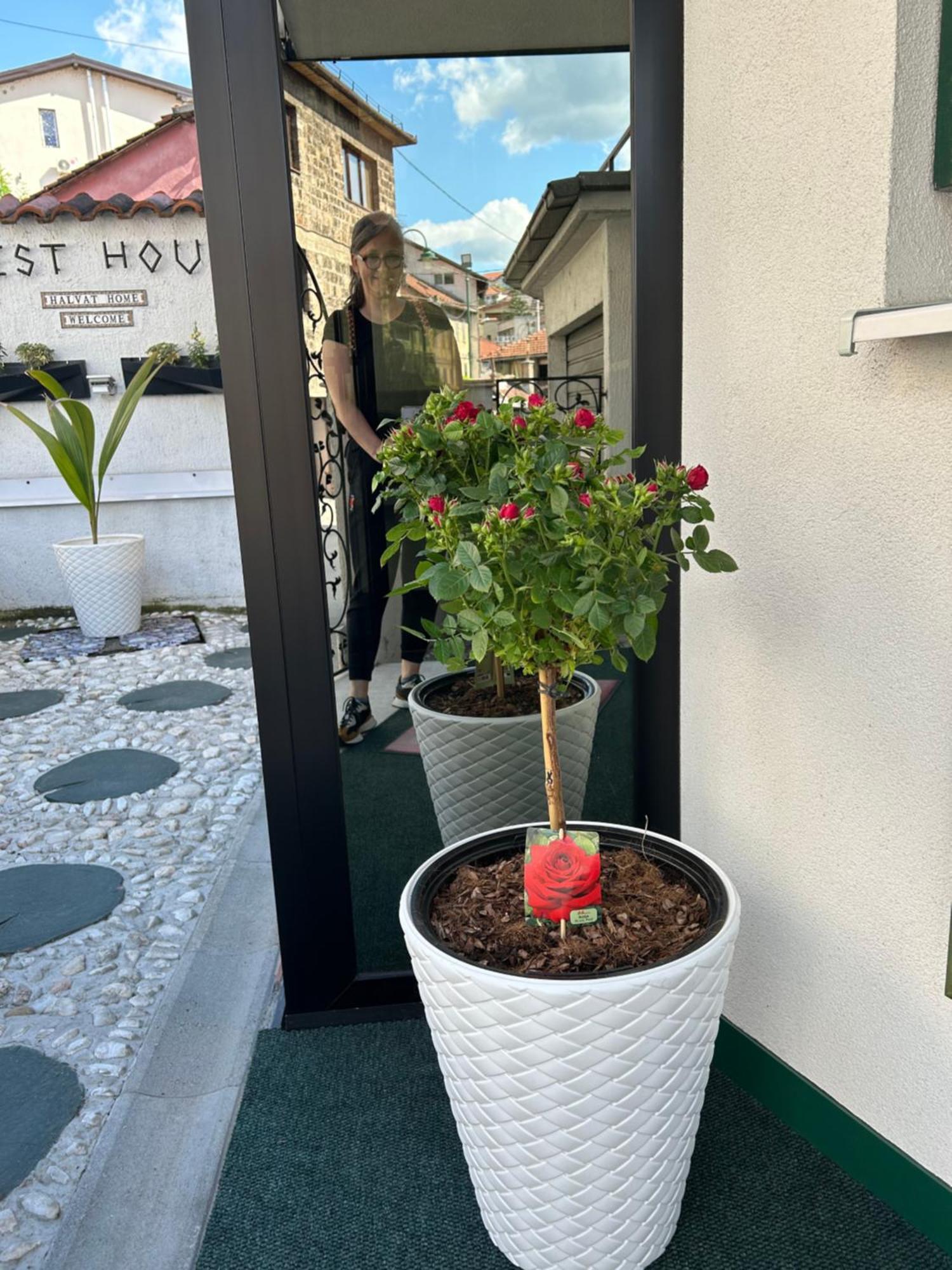Halvat Guesthouse サラエヴォ エクステリア 写真